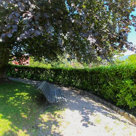 Bel Faggio Rosso * Μενάτζιο